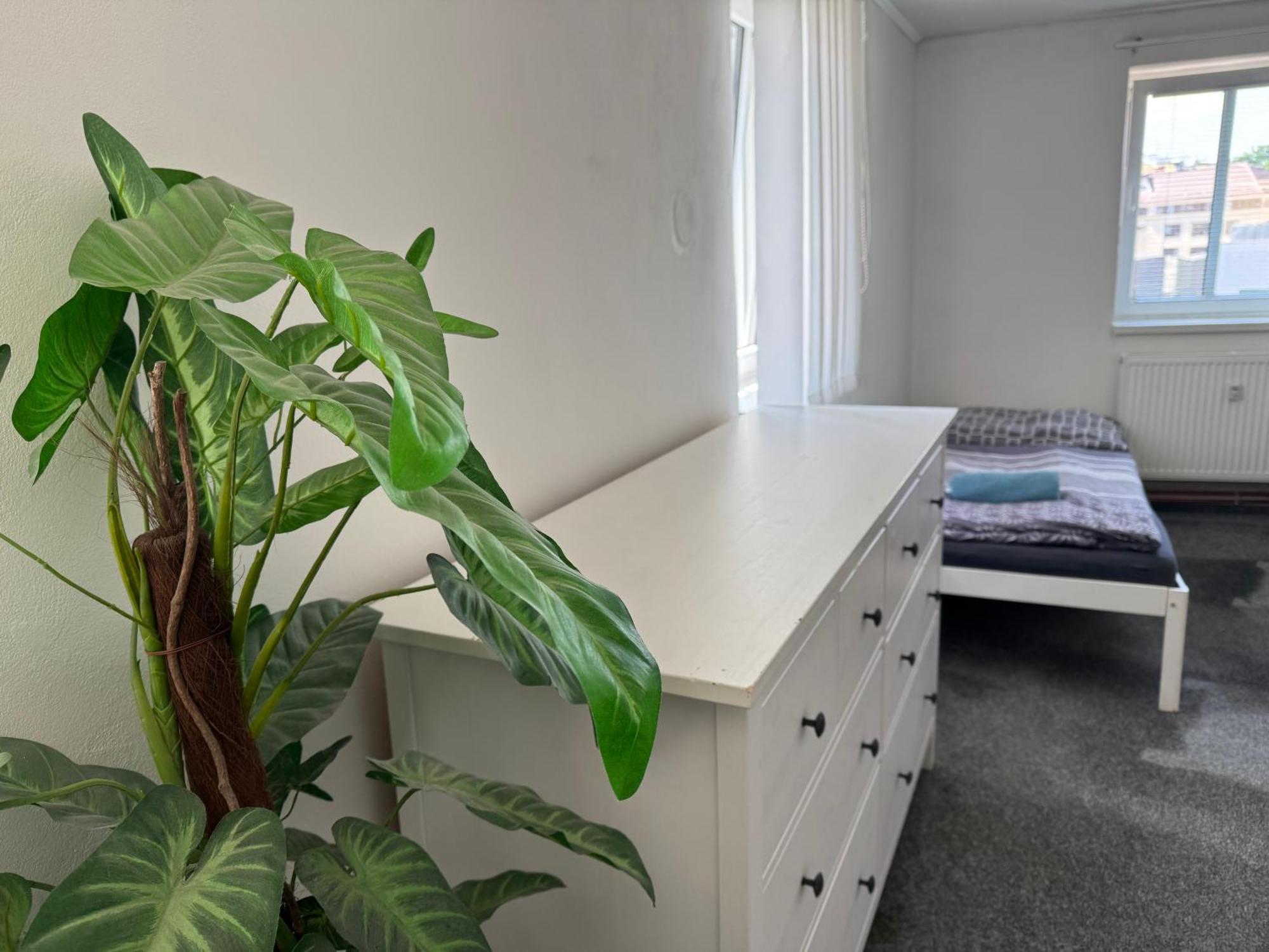 Old Town Apartments R11 オロモウツ エクステリア 写真